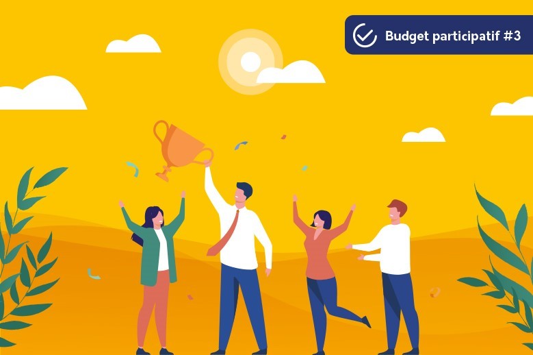 budget participatif lille