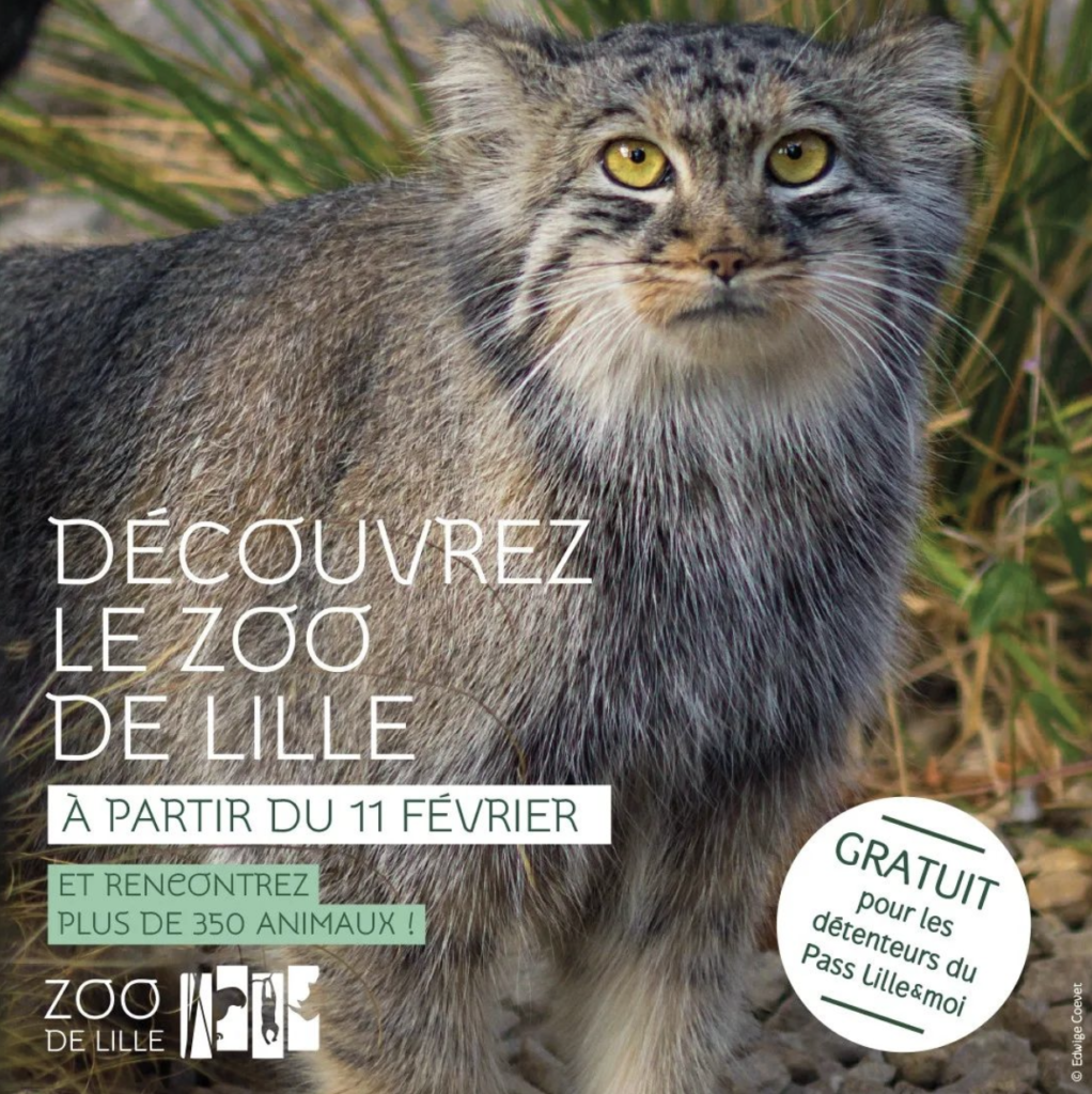 zoo de lille