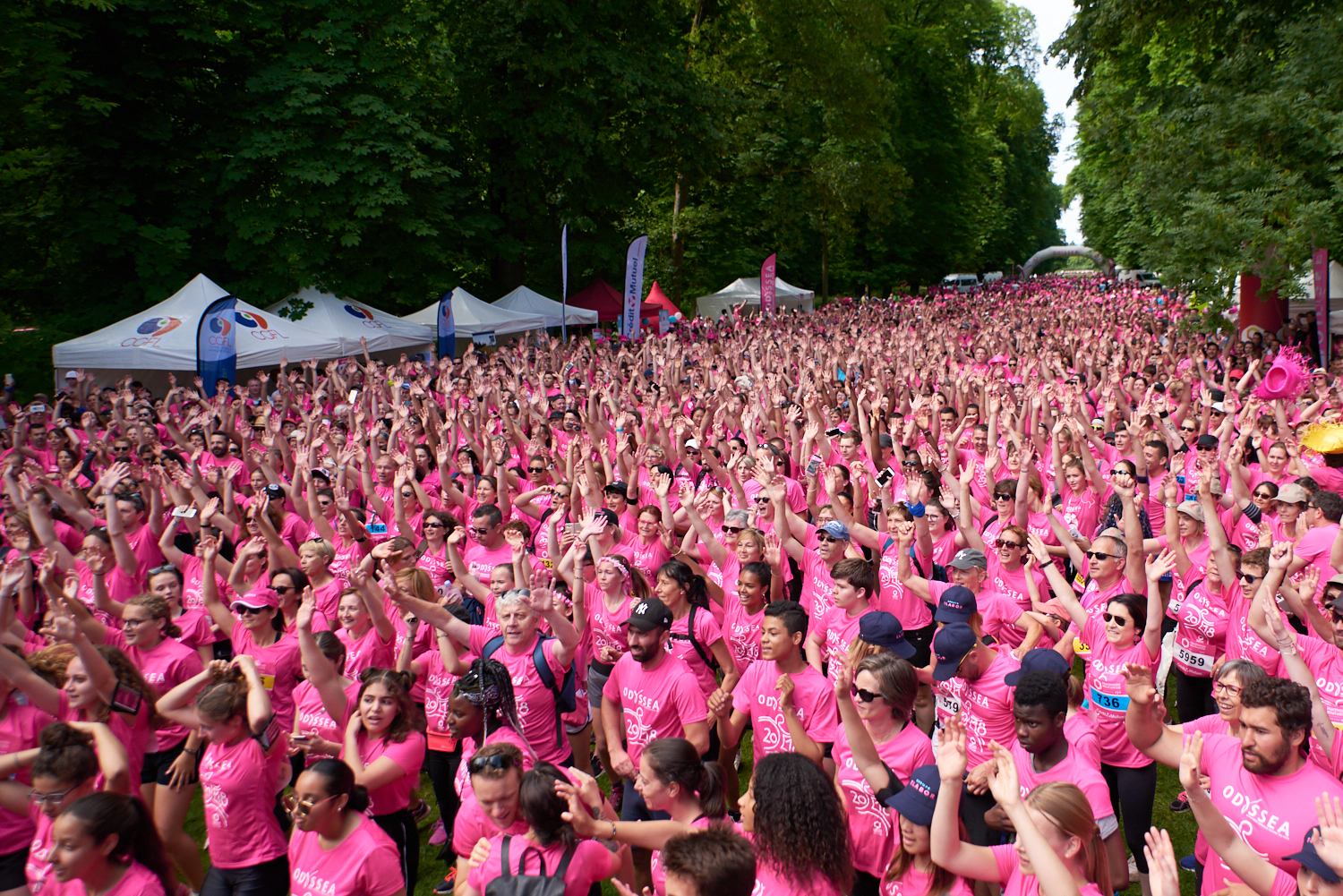 octobre rose